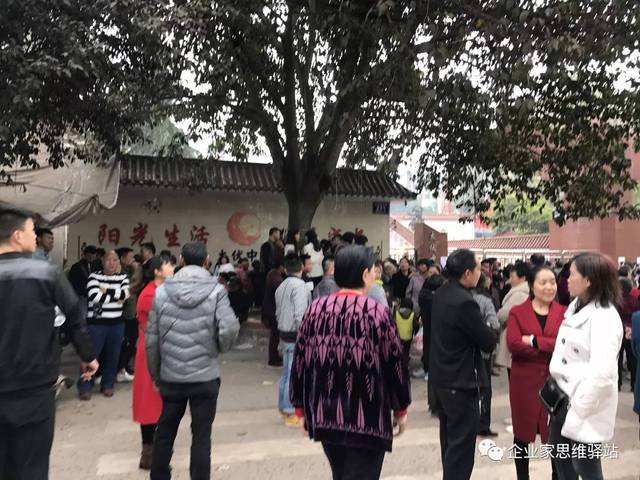 泸州太伏学生成长轨迹，挑战与机遇并存的新动态