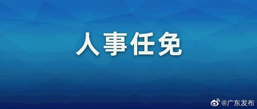 广东最新任免动态及其深远影响